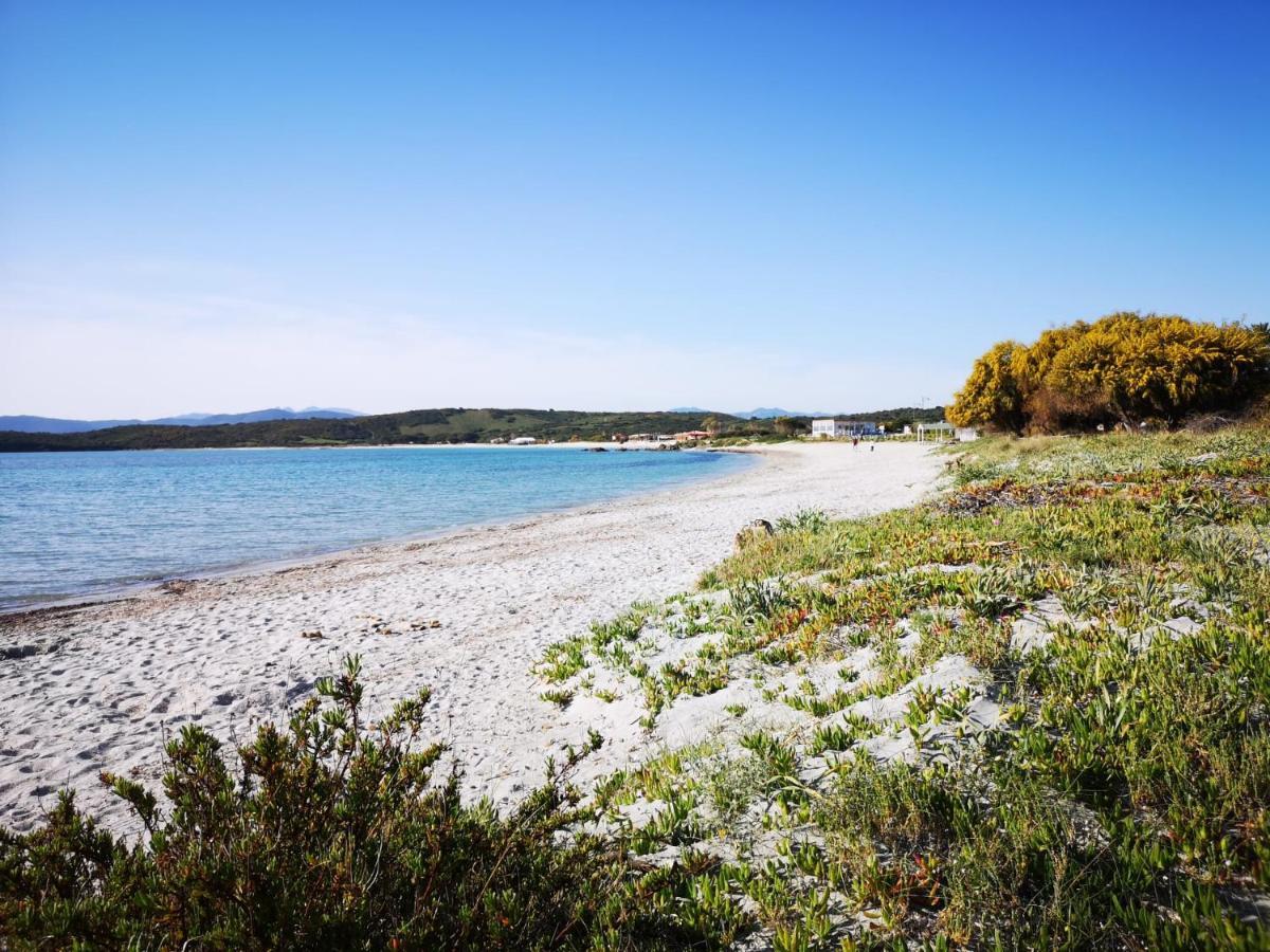 Appartamento Insardinia House Trilocale A 200mt Dalla Olbia