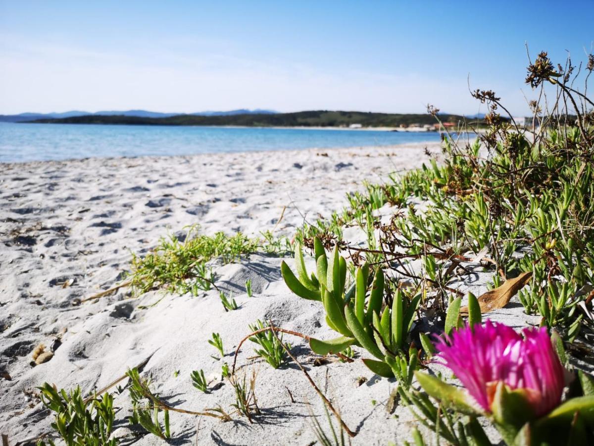 Insardinia House Trilocale A 200mt Dalla Appartamento